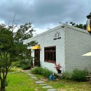 브라운피크닉 이미지