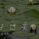 취향연못