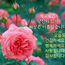 행운 이미지
