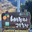 오감만족 공예 교실 | [사천] 아이와 함께하는 오감만족 주말체험 5가지, 배누리교육농장 베이킹 후기