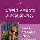 폐암 티스토리