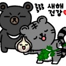 씨너지핏 이미지