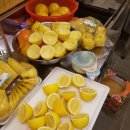 자연을 닮은 소박한 집 이미지