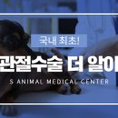 에스동물병원 이미지