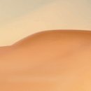 (주)벨프리즘 이미지