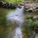 일광농장 이미지