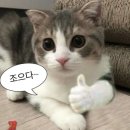 라쿵푸마라탕(각산점)