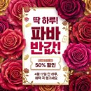 파리바게뜨 강화읍점 네이버블로그