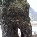 한천경로당 이미지