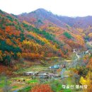 믿음 Daum카페