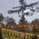 산내956 이미지