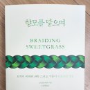 식물생태학|향모를 땋으며|아메리카 원주민|토박이|로빈 월 키머러|에이도스 출판사