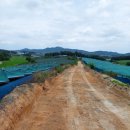 설성호두농원 이미지