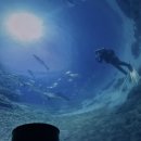 아쿠아싸우나 이미지