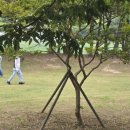 용원 교차로 이미지