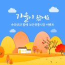 보은전통시장 이미지