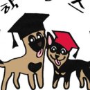 견학생스쿨 이미지