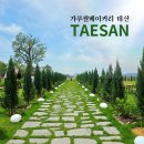 태산풍류 영농조합법인 | 무안신상카페 넓은 정원이 예쁜 대형베이커리카페 태산