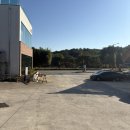 죽녹원5분거리 민박 | 내돈내산 담양 죽녹원 도보1분 숙소 한옥 민박 조아당 펜션 반려동물동반