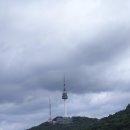 한국숲정원 | 한국숲정원 남산돈까스 후기
