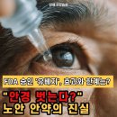 YUVEZZI 란 ? 이미지