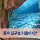 여름탐방(가족) | [내돈&amp;내산] 동탄롯백 밀본(식사), 디.아쿠아 탐방(?) &amp; 수유실 사용 후기