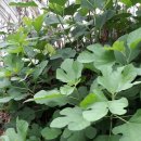 유니콘농장 이미지