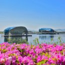 세종호수공원 산책로 이미지