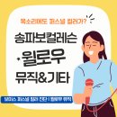 송파보컬레슨 윌로우뮤직, 보이스 퍼스널 컬러로 찾은 내 인생의 목소리