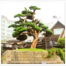 나마스테 이미지