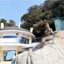 참사랑나눔동행 이미지