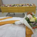 바로콜상조