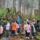 의창-북면-6-비-2 이미지