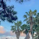 서문서로 이미지