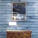 화이트 크린워시 이미지