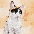 공감+동물의료센터 | 범어동동물병원 : 고양이 신부전 치료 및 관리 후기 [범어동물의료센터]