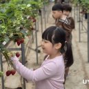 서부초등학교병설유치원 영남타임즈