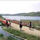 신정호관광지 이미지