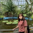 NR-24[함장로]-상-62 | 루마니아 #62 조용하고 시끄러운 클루지나포카