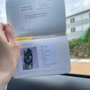 농사체험야영장 | 제주캠핑 | 애견동반 제주 캠핑,김녕해수욕캠핑, 동문시장, 귤밭 체험