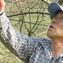 자풍농장 이미지