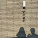 나동민박 이미지