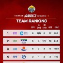 컬링스포츠닷컴