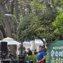 청춘-숲속의 섬,  | 20260502 부산 태종대 숲속예술놀이터(주차, 공연, 체험활동)