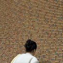 준갤러리 이미지