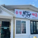 송정코다리 이미지