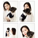 노즈밀 이미지