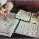 호 타로 이미지