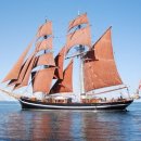 셀러스트 이미지