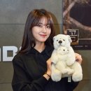 다큐세이브 이미지